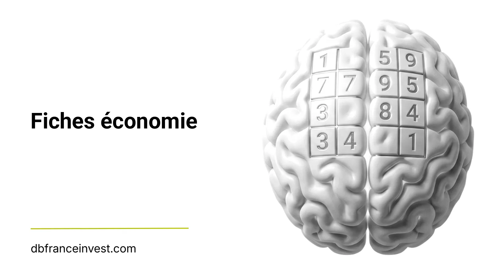 Cerveau stylisé rempli de chiffres, illustration des fiches économie de DB France Invest