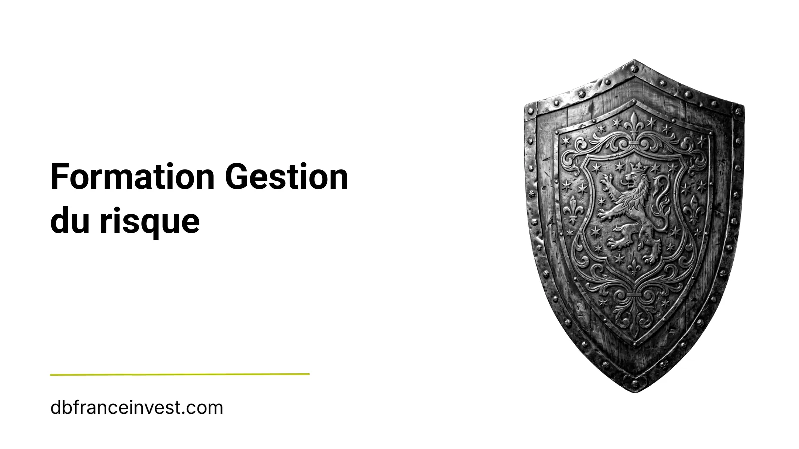 Bouclier ancien gravé, en noir et blanc, symbole de la protection contre les risques